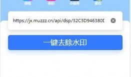 小程序最新独门爆料视频